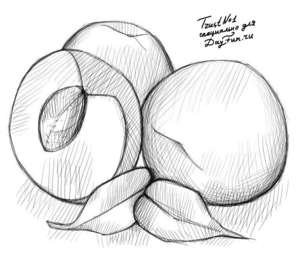 Фрукты для рисования