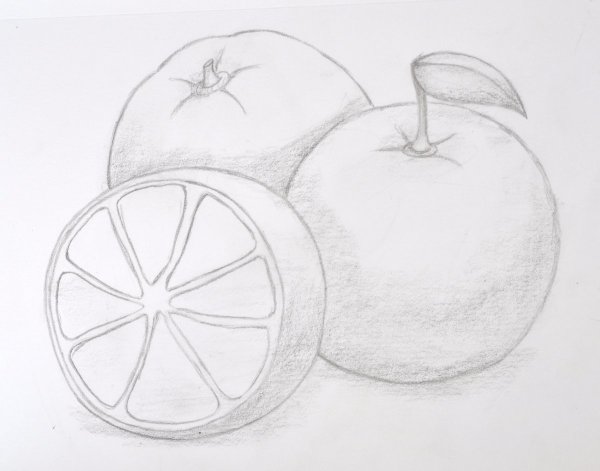 Фрукты карандашом