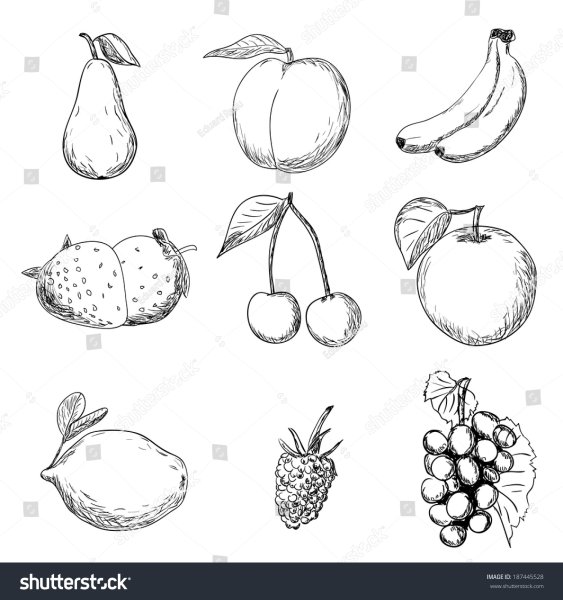 Фрукты и овощи карандашом