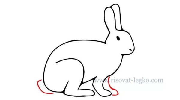 Рисунок зайца для срисовки