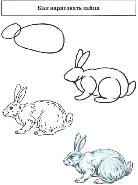 Рисование зайчика