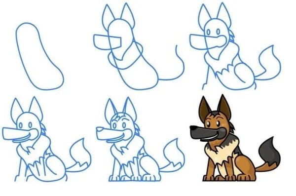 Пошаговое рисование овчарки