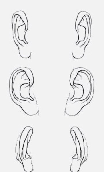 Нарисовать ухо человека