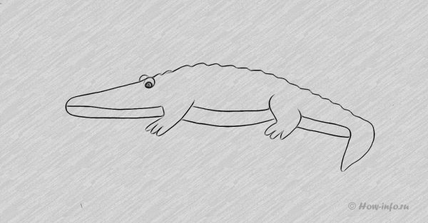 Дорисовать крокодила