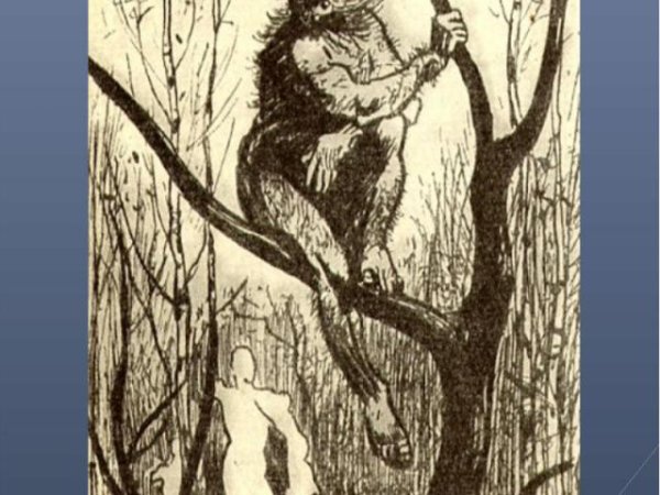 Салтыков-Щедрин дикий помещик