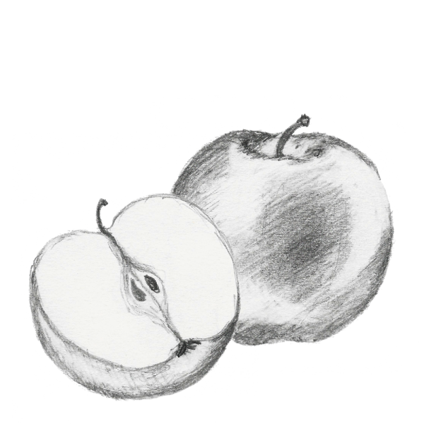 Яблоко карандашом