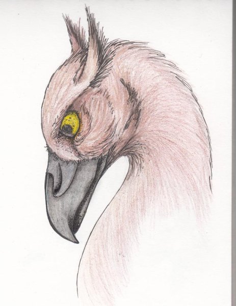Необычные животные карандашом