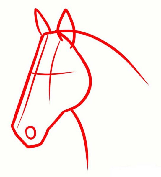 Поэтапное рисование морды лошади