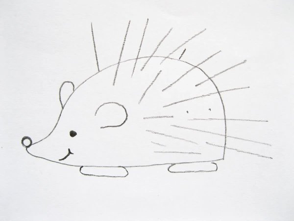 Ёжик для срисовки карандашом