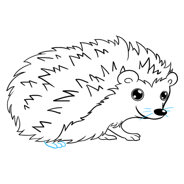 Раскраска Ёжик