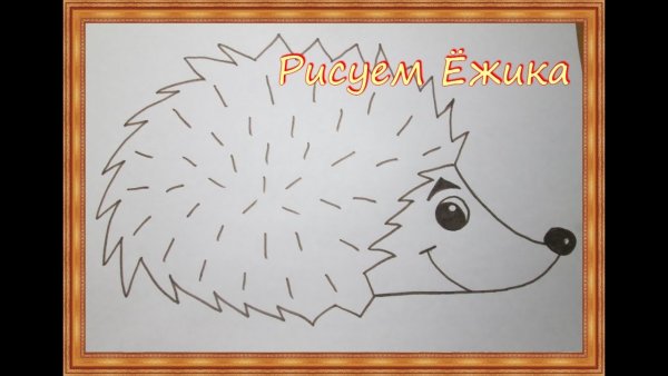 Поэтапный рисунок ежа