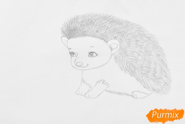 Ежик поэтапное рисование для детей