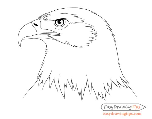 Орел карандашом