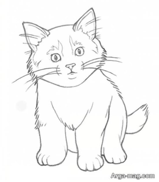 Кошка карандашом для детей