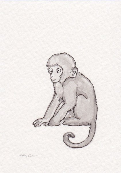 Обезьянка рисунок карандашом