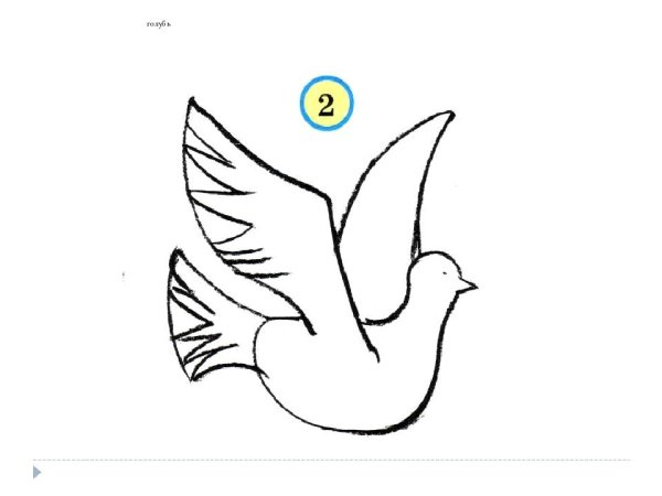 Поэтапное рисование голубя