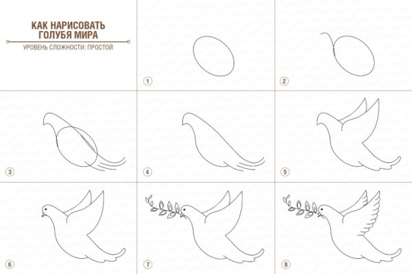 Голубь мира рисунок карандашом для детей