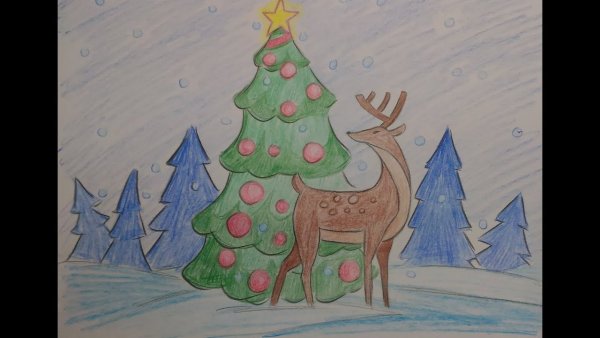 Зарисовки зимнего леса