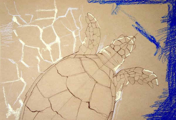 Рисунки на бежевой бумаге