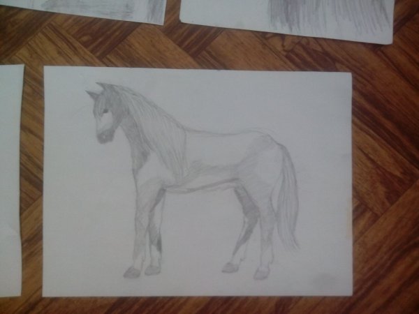 Рисунок легкий