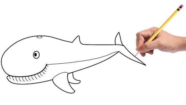 Кит карандашом для детей