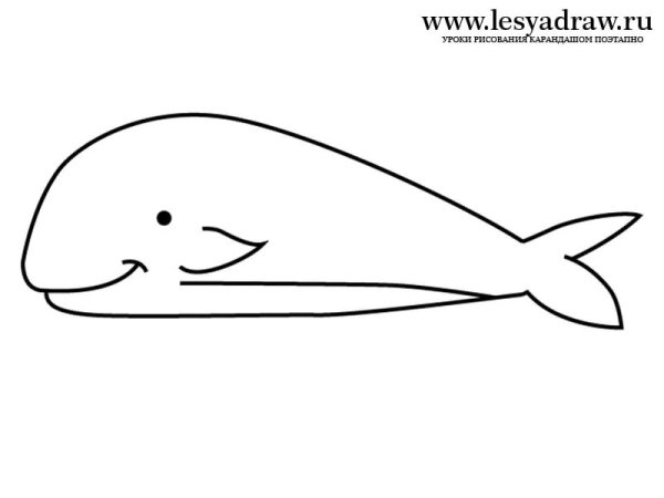 Как рисовать кита