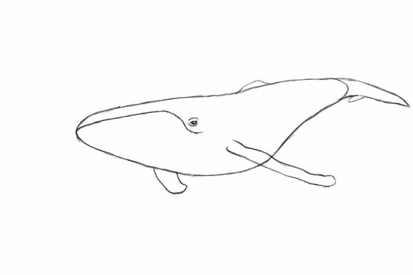 Синий кит рисунок