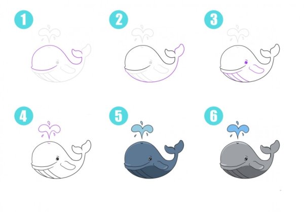 Пошаговое рисование кита