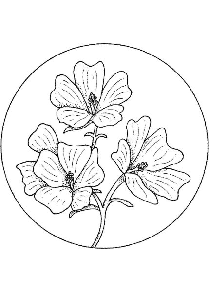 Поднос Жостово раскраска