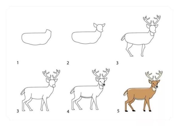 Олень для срисовки