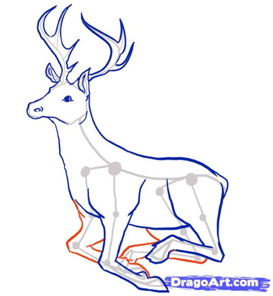 Олень рисунок карандашом для детей срисовать