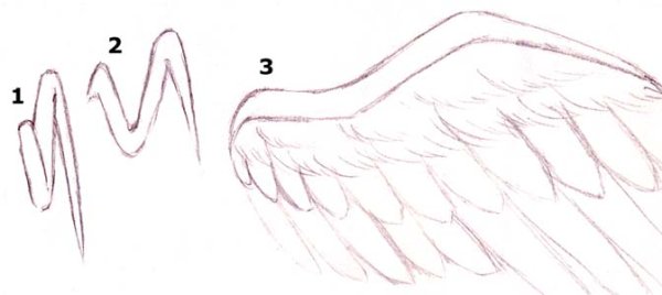 Поэтапное рисование крыльев