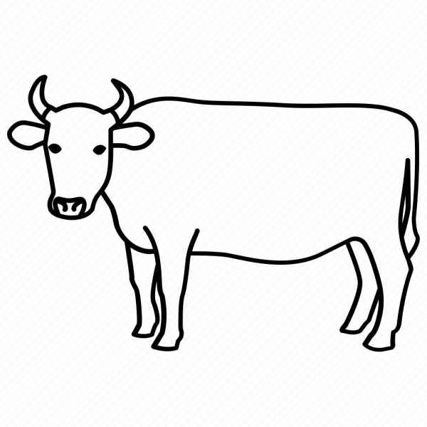 Корова рисунок карандашом для детей