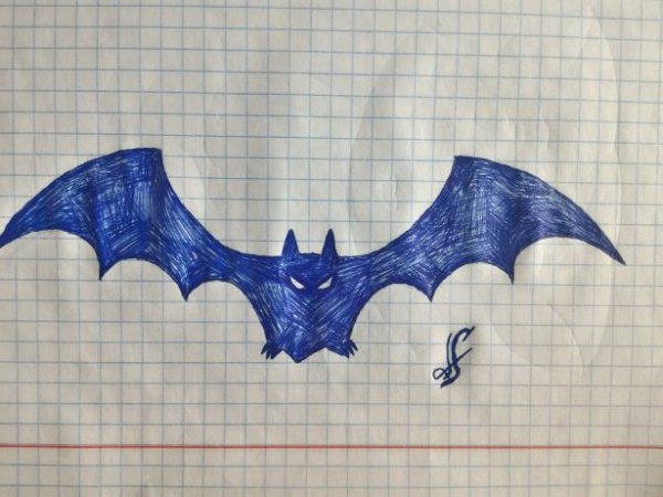 Поэтапное рисование летучей мыши