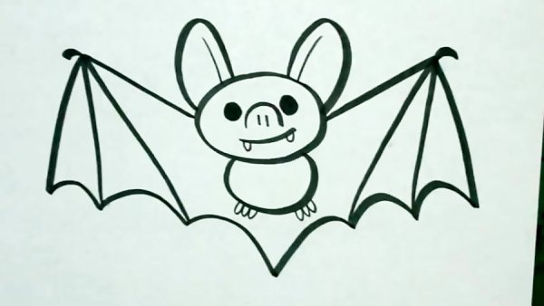 Летучая мышка рисунок легко