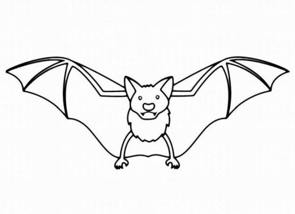 Летучая мышь карандашом