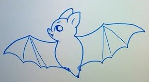 Учимся рисовать летучую мышь