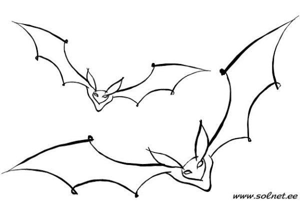 Летучая мышь рисунок несложный