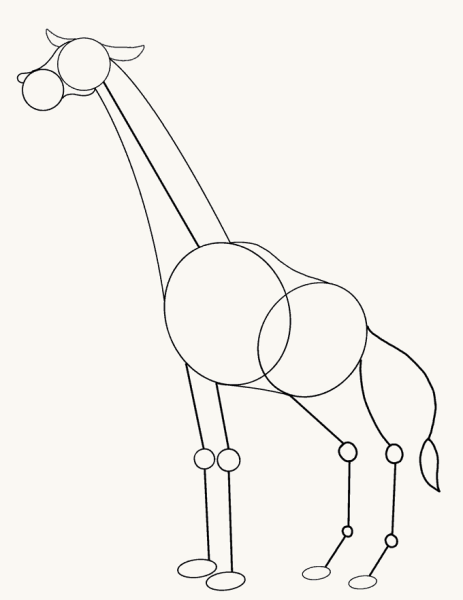 Жираф поэтапное рисование