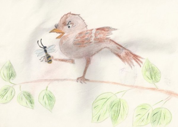 Рисунок на тему растрепанный Воробей 3 класс