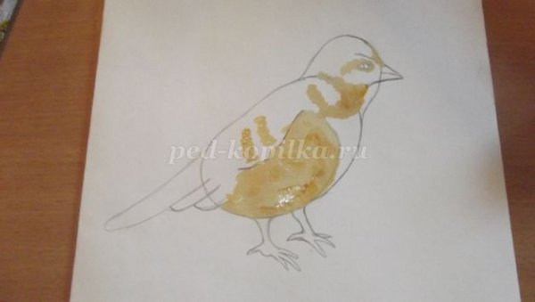 Растрепанный Воробей пошагово