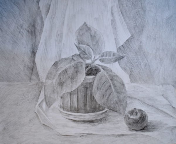 Цветы в технике гризайль