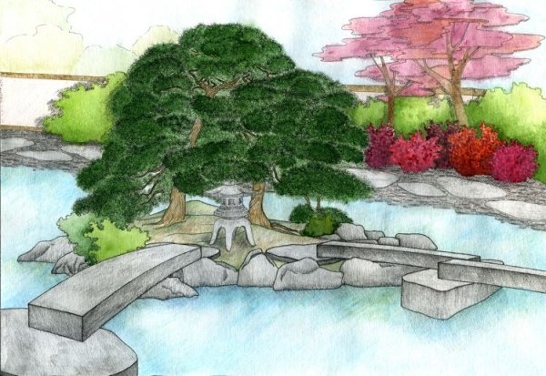 Японский сад эскиз
