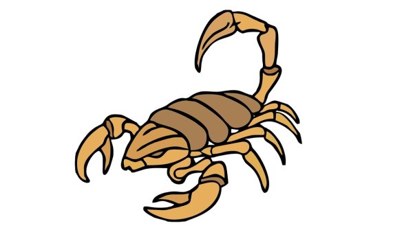 Скорпион карандашом