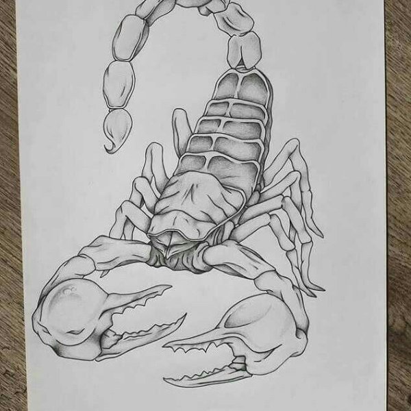 Тату Скорпион трайбл эскиз