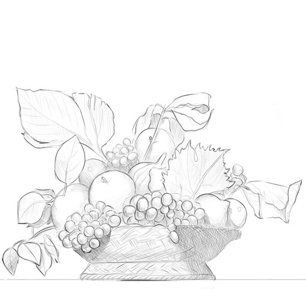 Эскиз натюрморта с фруктами