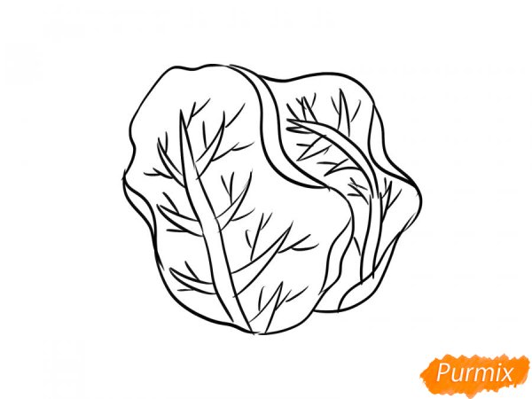 Капуста карандашом для детей