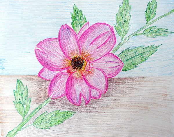 Рисование карандашами и фломастерами легко