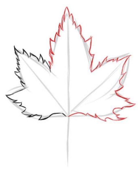 Кленовый лист нарисовать поэтапно