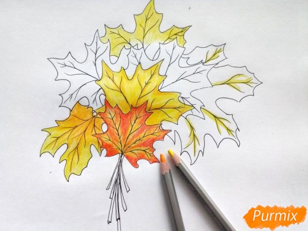 Листик клена карандашом